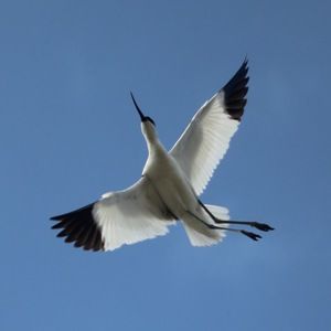 Meet your Posher, Cathy